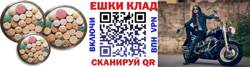 mega маркетплейс  купить наркотики сайты  Лениногорск  Ecstasy Philipp Plein 