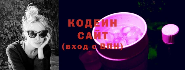 МДПВ Дмитриев