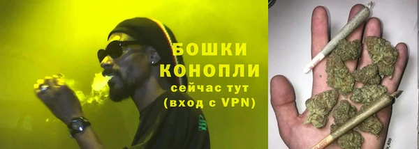 spice Покачи
