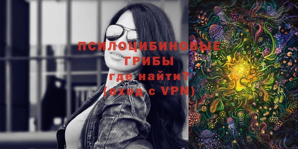 spice Покачи