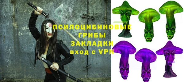 ГАЛЛЮЦИНОГЕННЫЕ ГРИБЫ Алексин