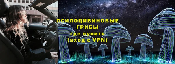 ГАЛЛЮЦИНОГЕННЫЕ ГРИБЫ Алексин