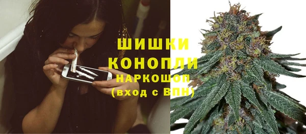 ГАЛЛЮЦИНОГЕННЫЕ ГРИБЫ Алексин