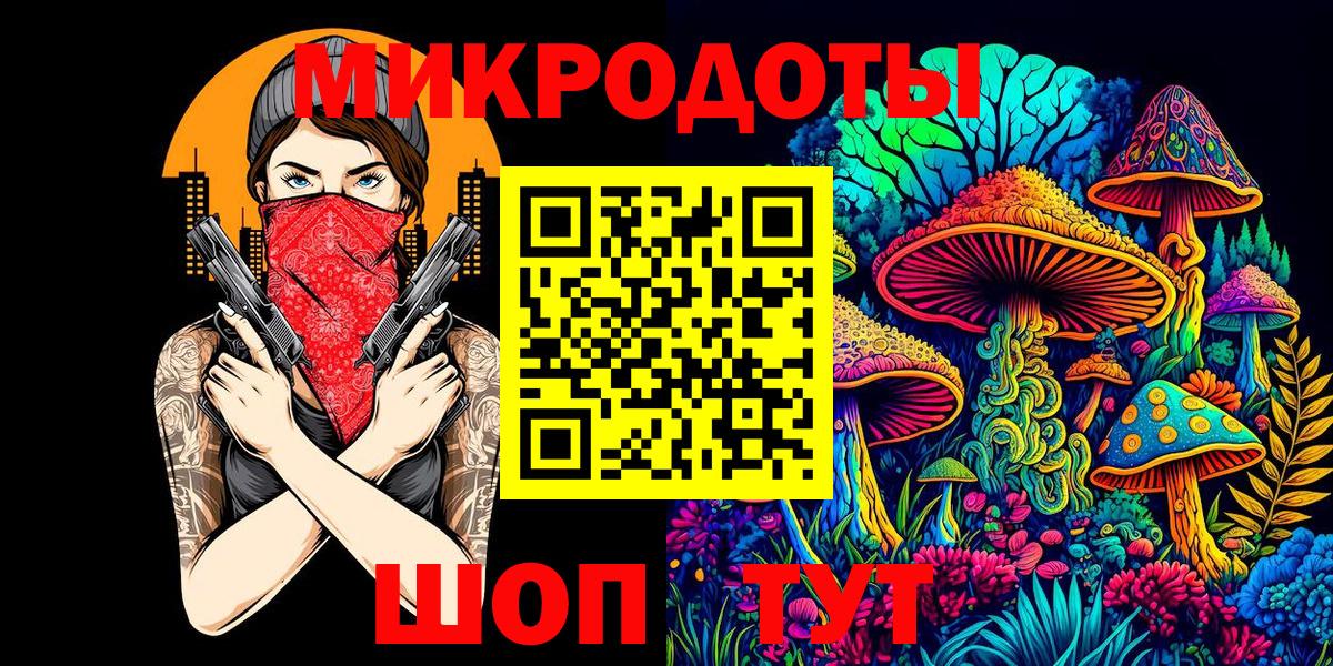 Псилоцибиновые грибы Psilocybe Лениногорск